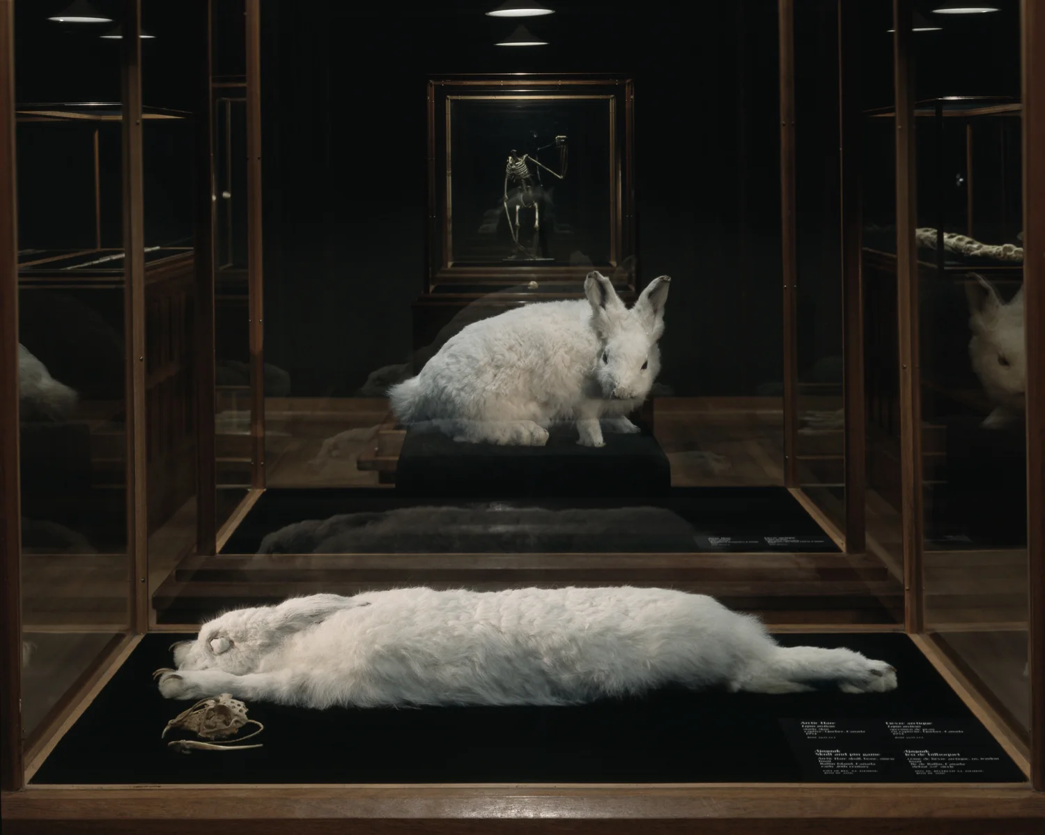 The Final Sleep — Spring Hurlbut
